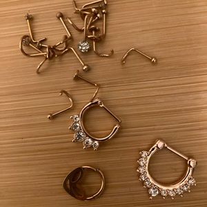 Various nose rings💗